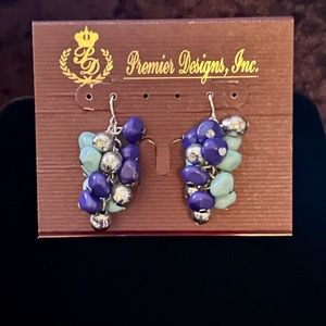 Fishhook Beaded Earrings